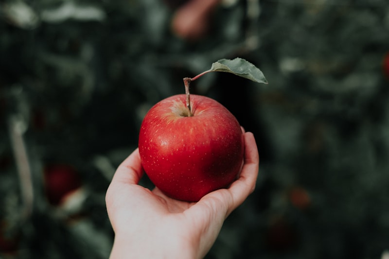 Apple Hill Growers - Image 2