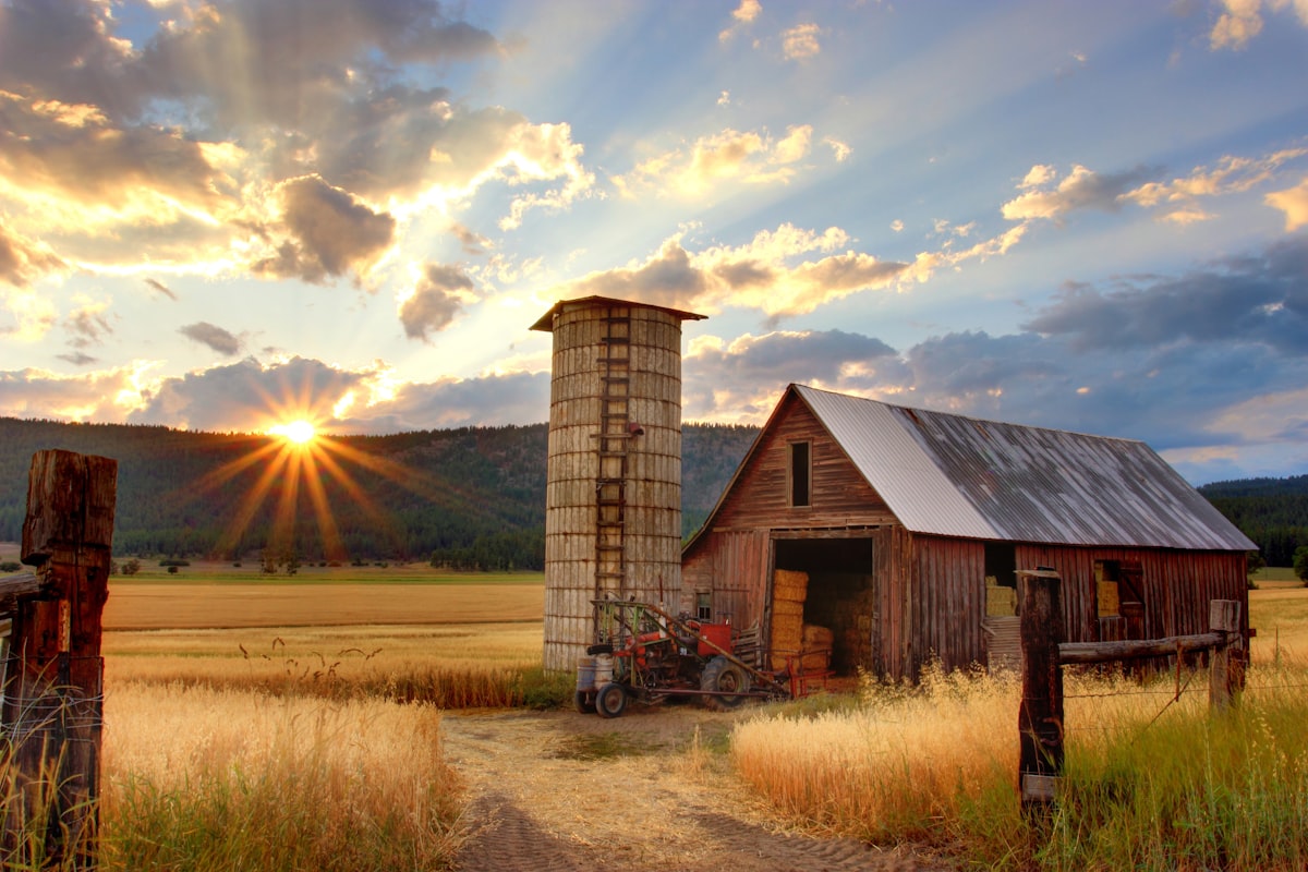 California U-Pick Farms